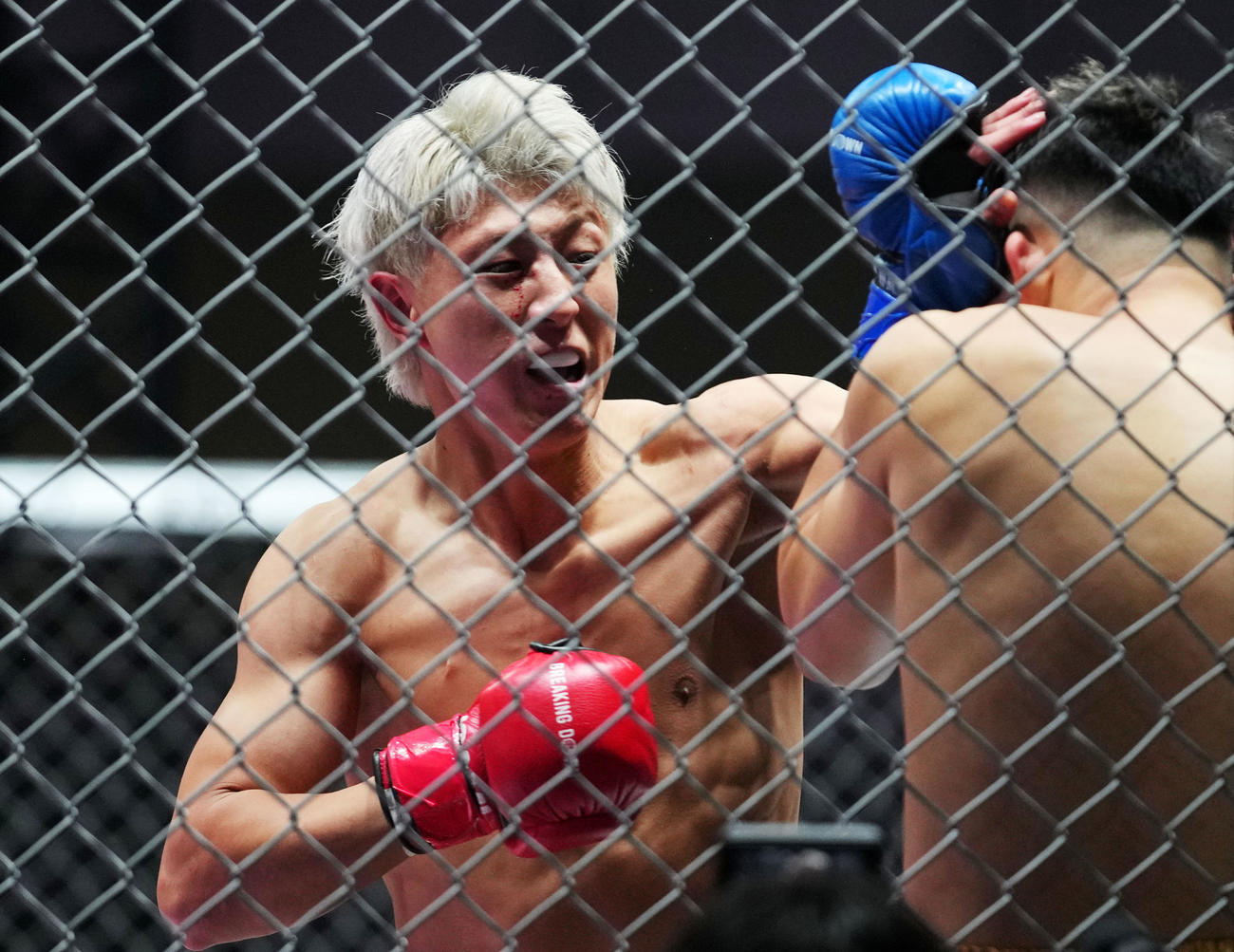 虎ノ介対冨澤大智　攻める冨澤大智（撮影・横山健太）