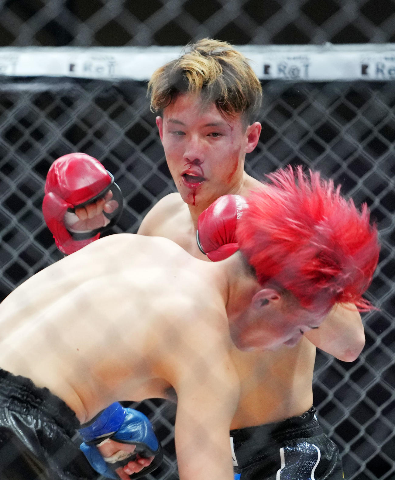 大威対YURA　大威（手前）にKOで勝利するYURA（撮影・横山健太）