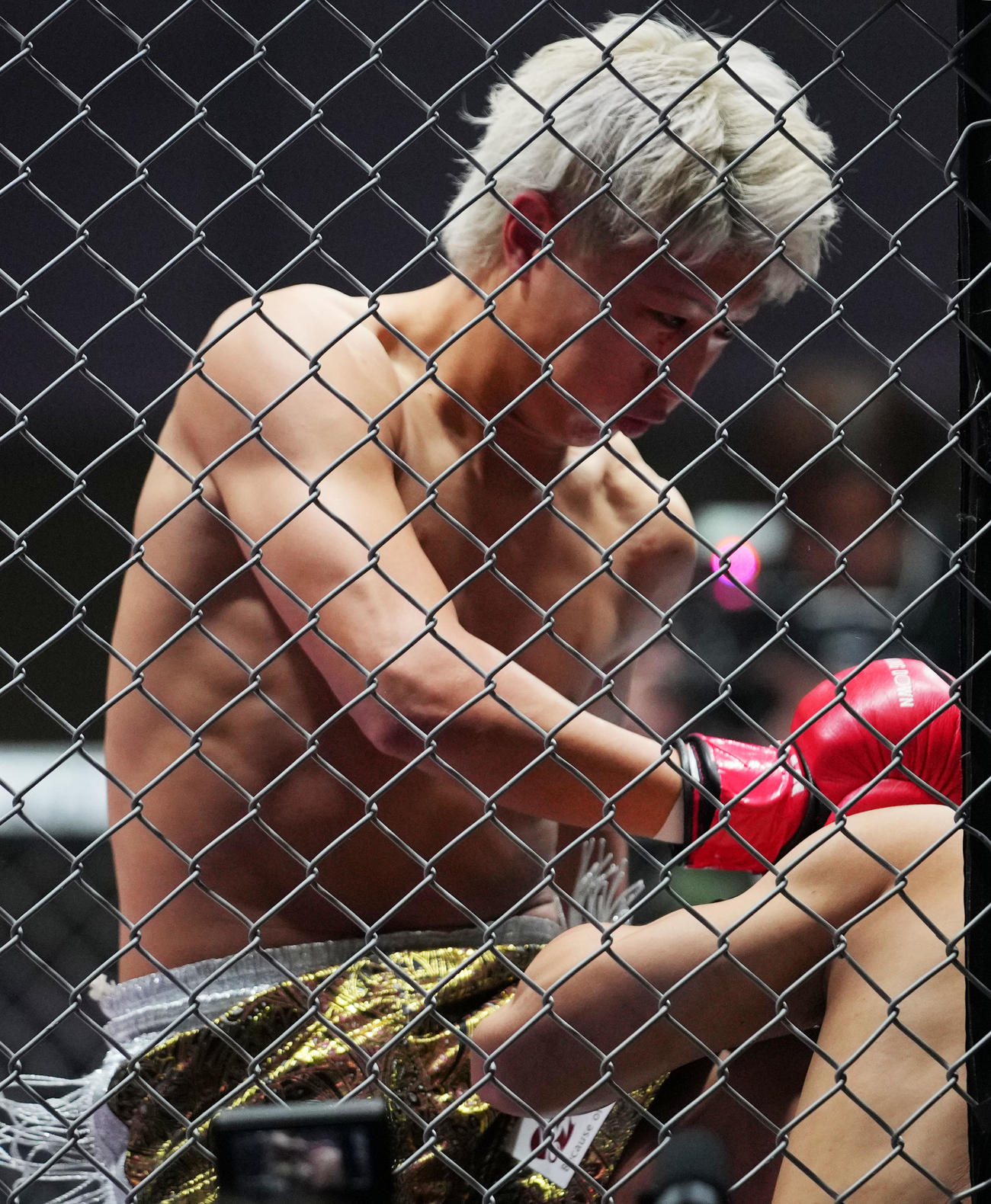 虎ノ介対冨澤大智　攻める冨澤大智（撮影・横山健太）