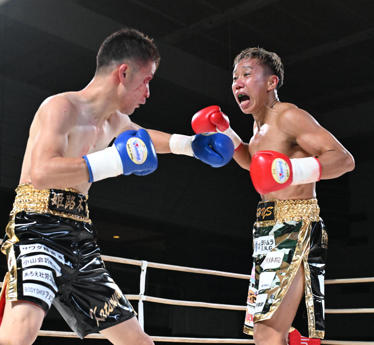 3回、石橋（左）にパンチを浴びる真道ゴー（撮影・和賀正仁）