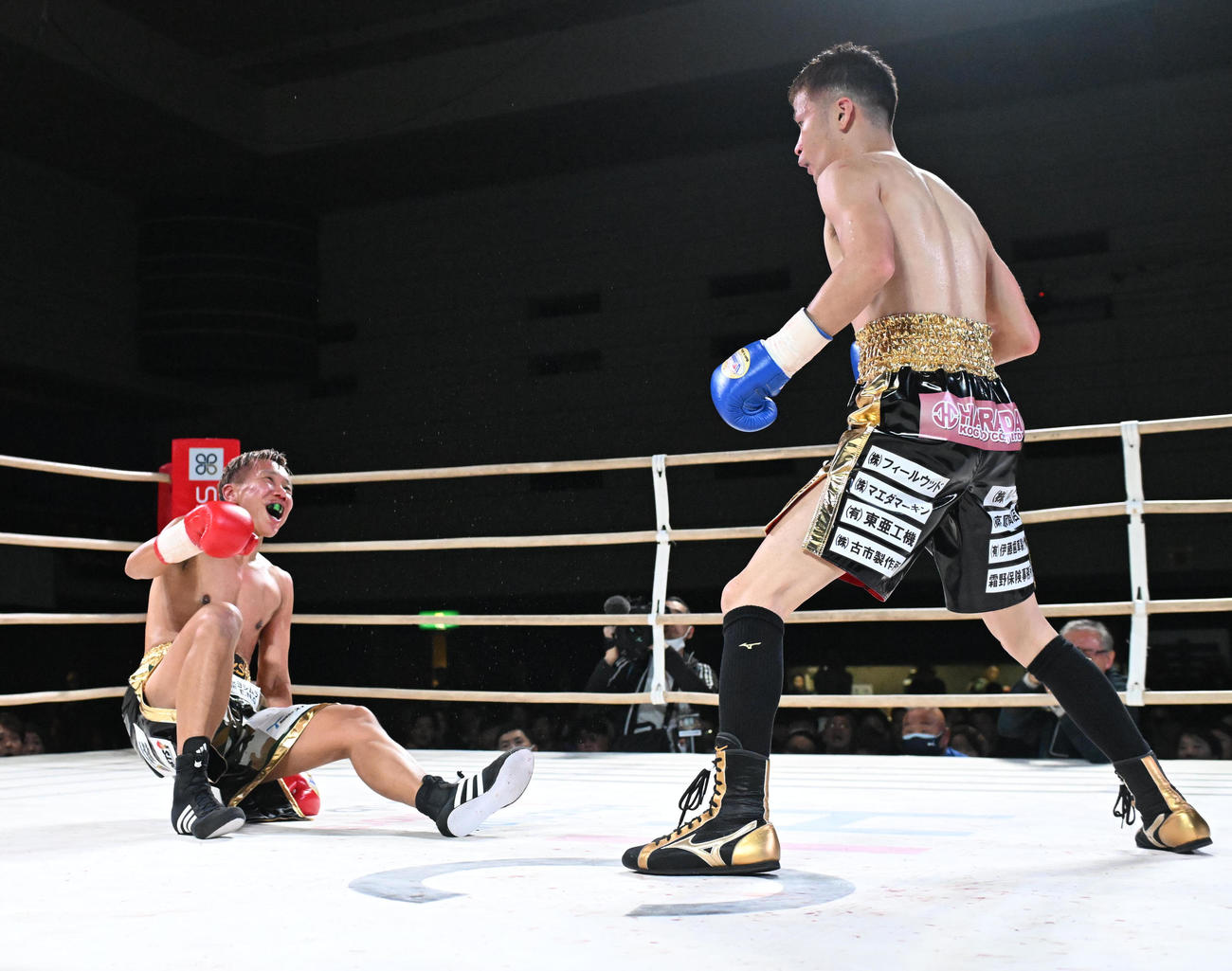 3回、石橋の左フックでダウンを喫する真道ゴー（撮影・和賀正仁）