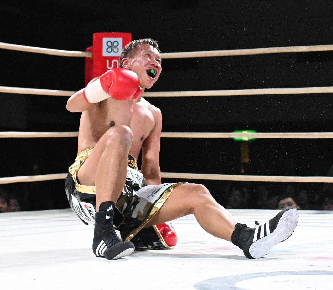 3回、石橋の左フックでダウンを喫する真道ゴー（撮影・和賀正仁）