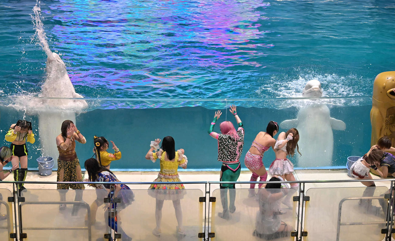 東京女子プロレス　イルカの水を浴び驚く選手たち（東京女子プロレス提供）