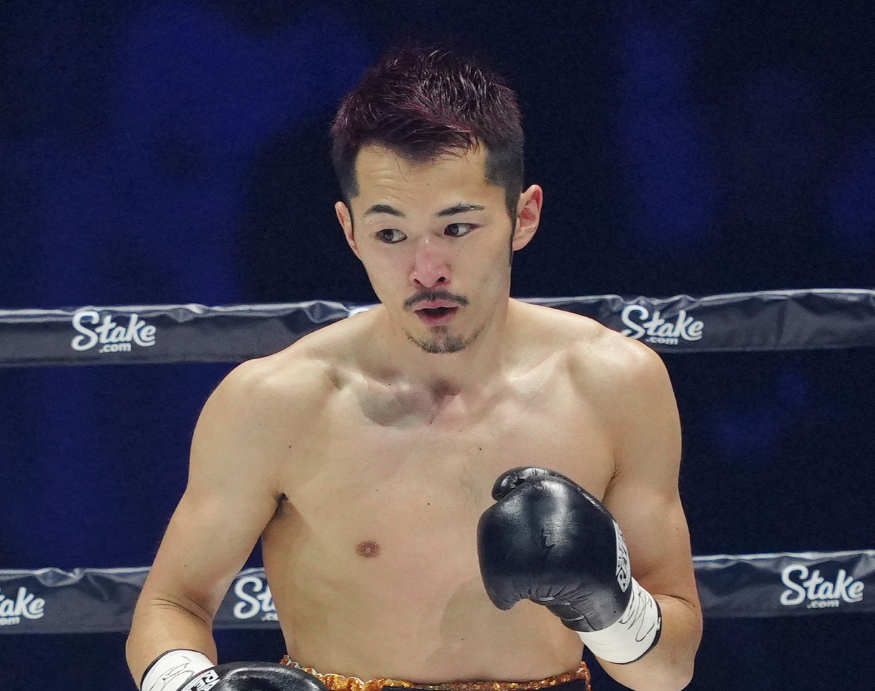 阿部麗也