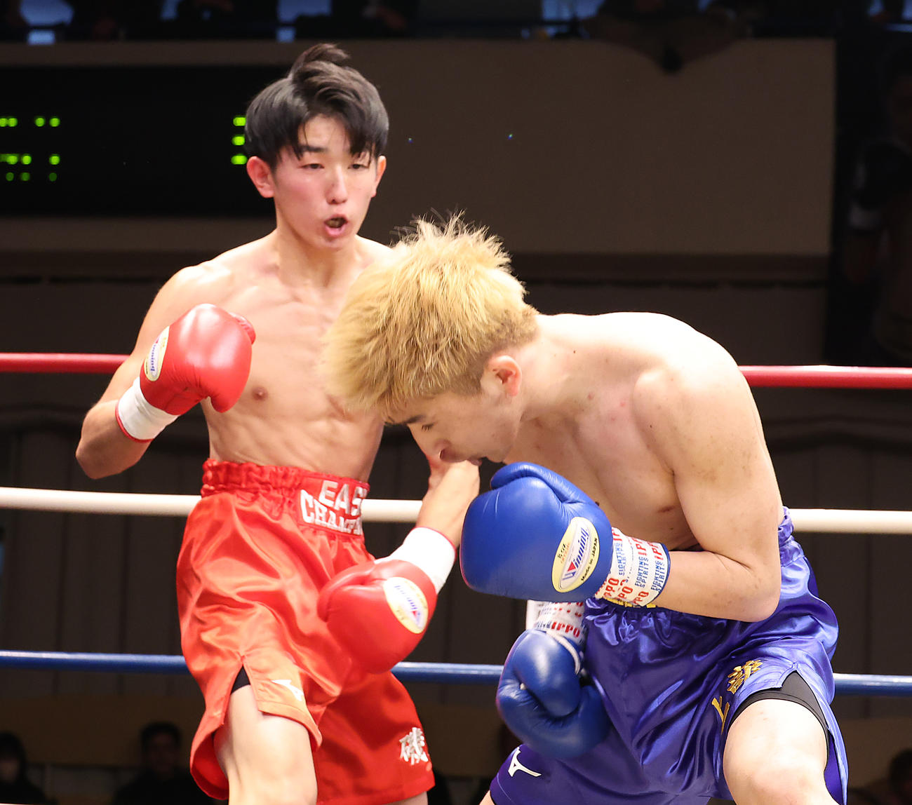 上蔀（右）を攻める磯金龍（撮影・中島郁夫）