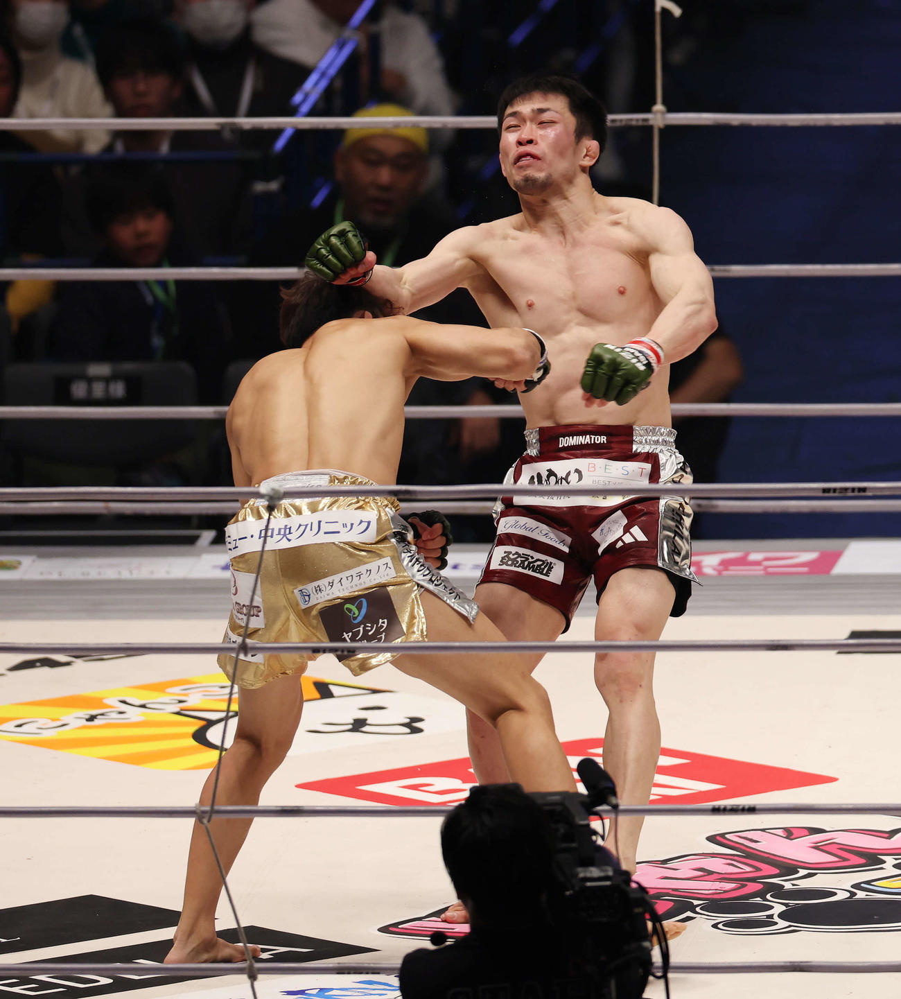2回KOで新居すぐる（左）に敗れる弥益ドミネーター聡志（撮影・宮地輝）