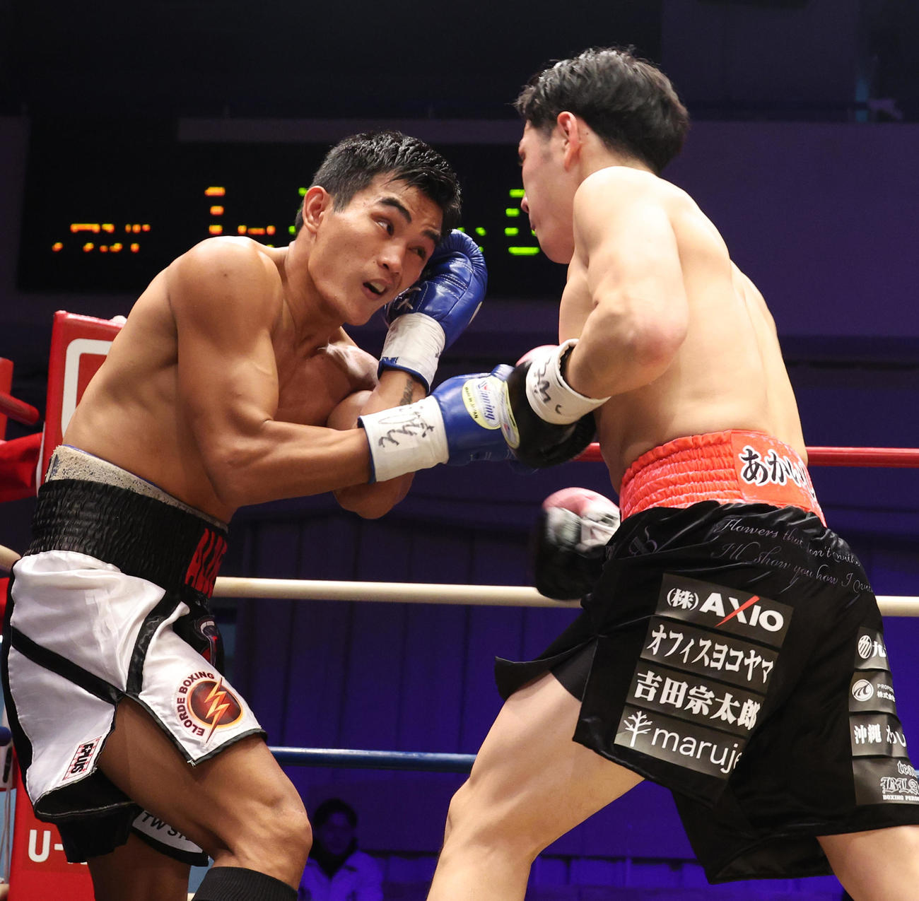 ロルダン・アルデア（左）にパンチを浴びせる鈴木（撮影・中島郁夫）