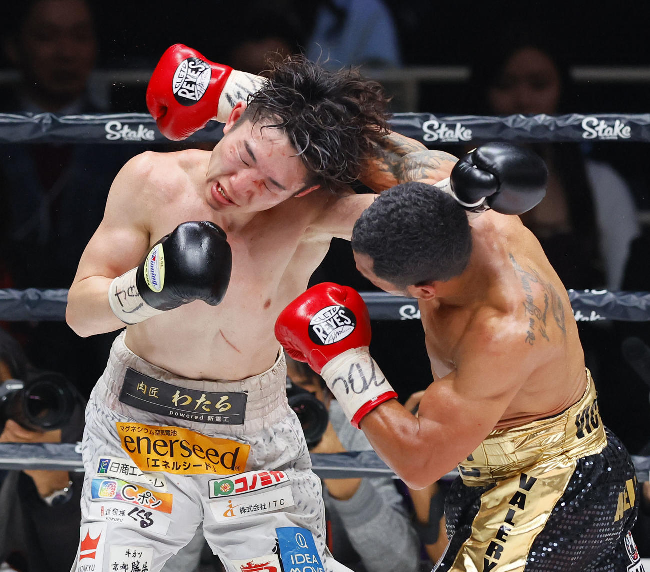 WBAスーパー、WBC世界ライトフライ級タイトルマッチ　12回、激しく打ち合う寺地（左）とカニサレス（2024年1月23日撮影）