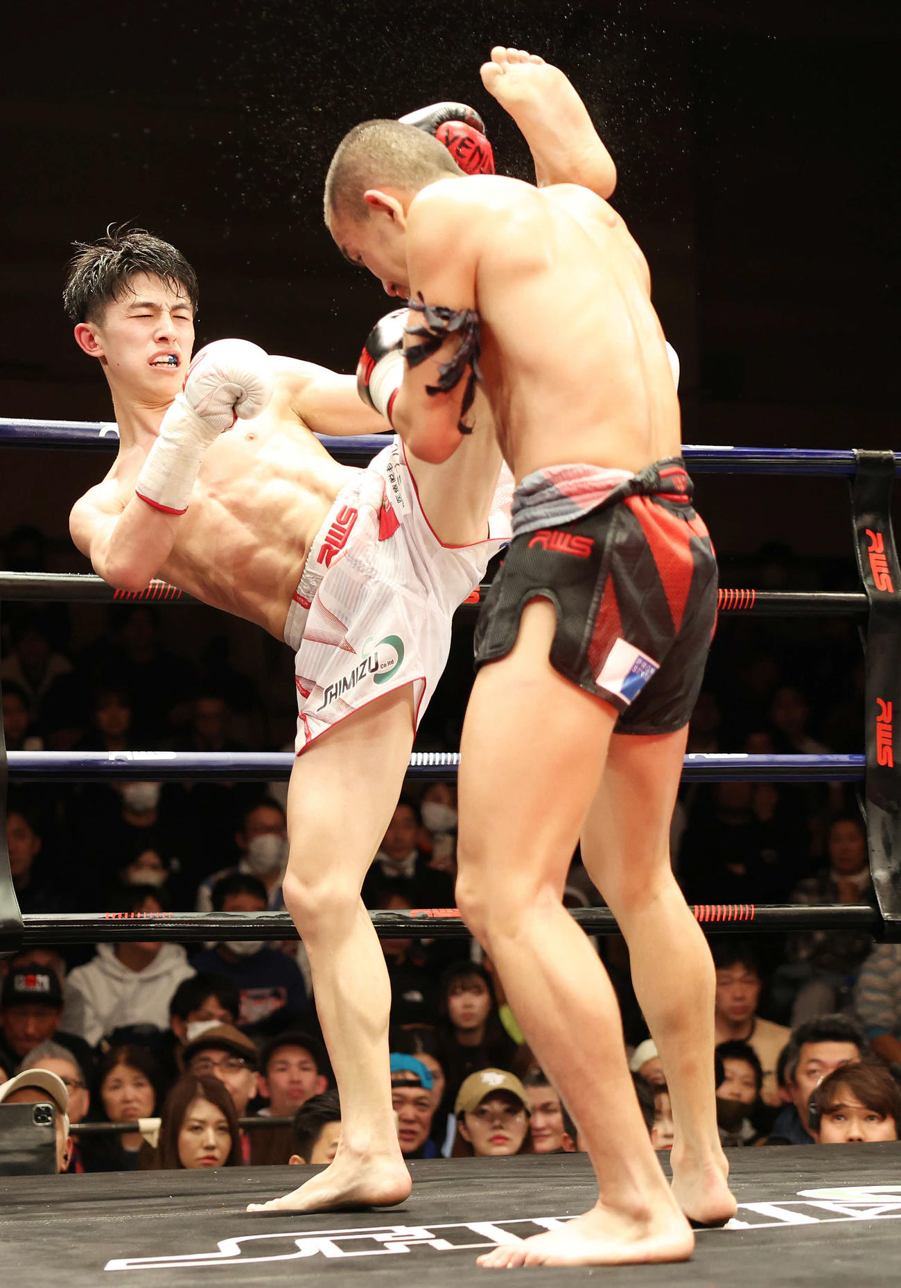 4回、プレーオプラーオ（右）に蹴りを入れる吉成（撮影・宮地輝）