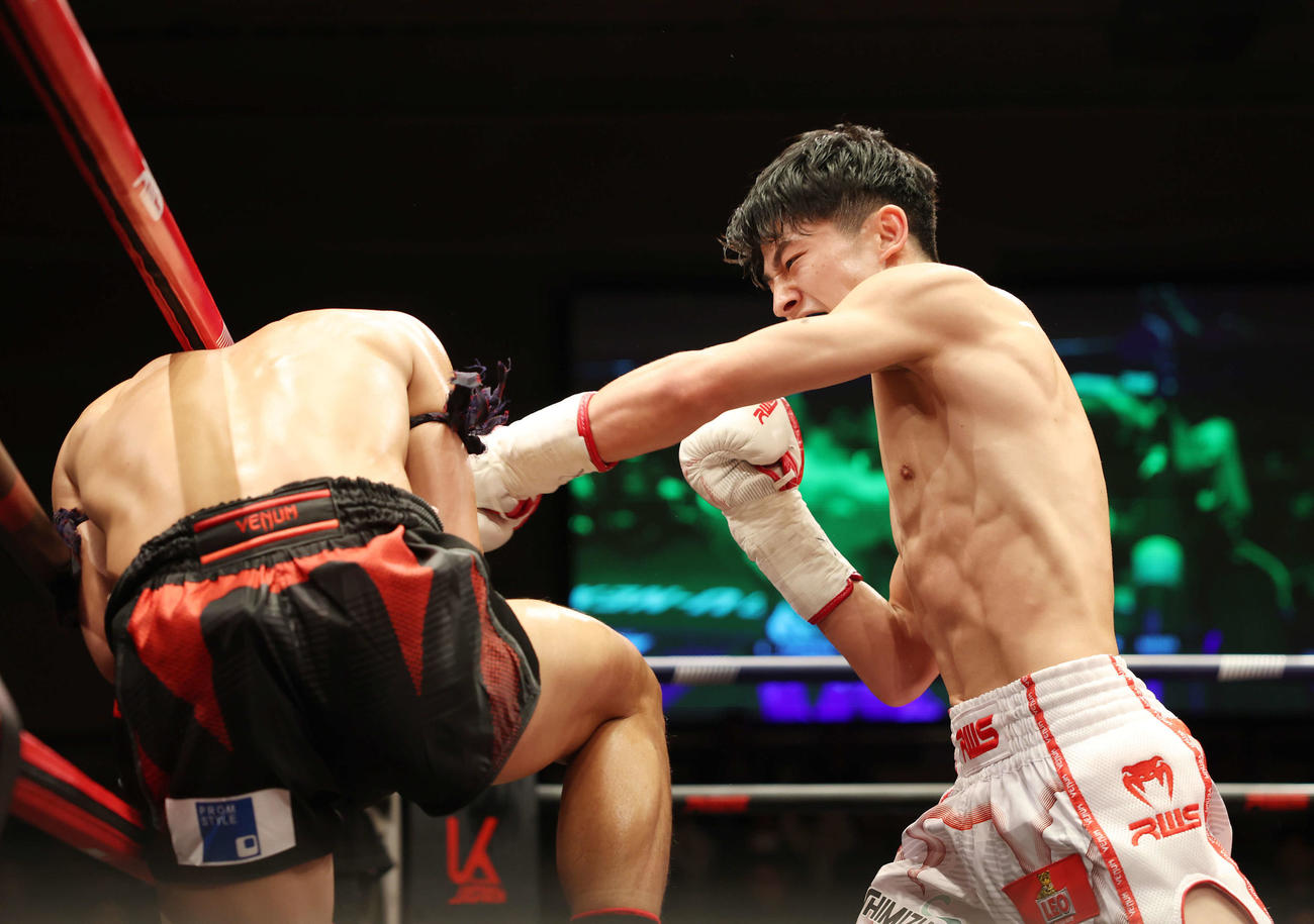 1回、プレーオプラーオ（左）にパンチを浴びせる吉成（撮影・宮地輝）