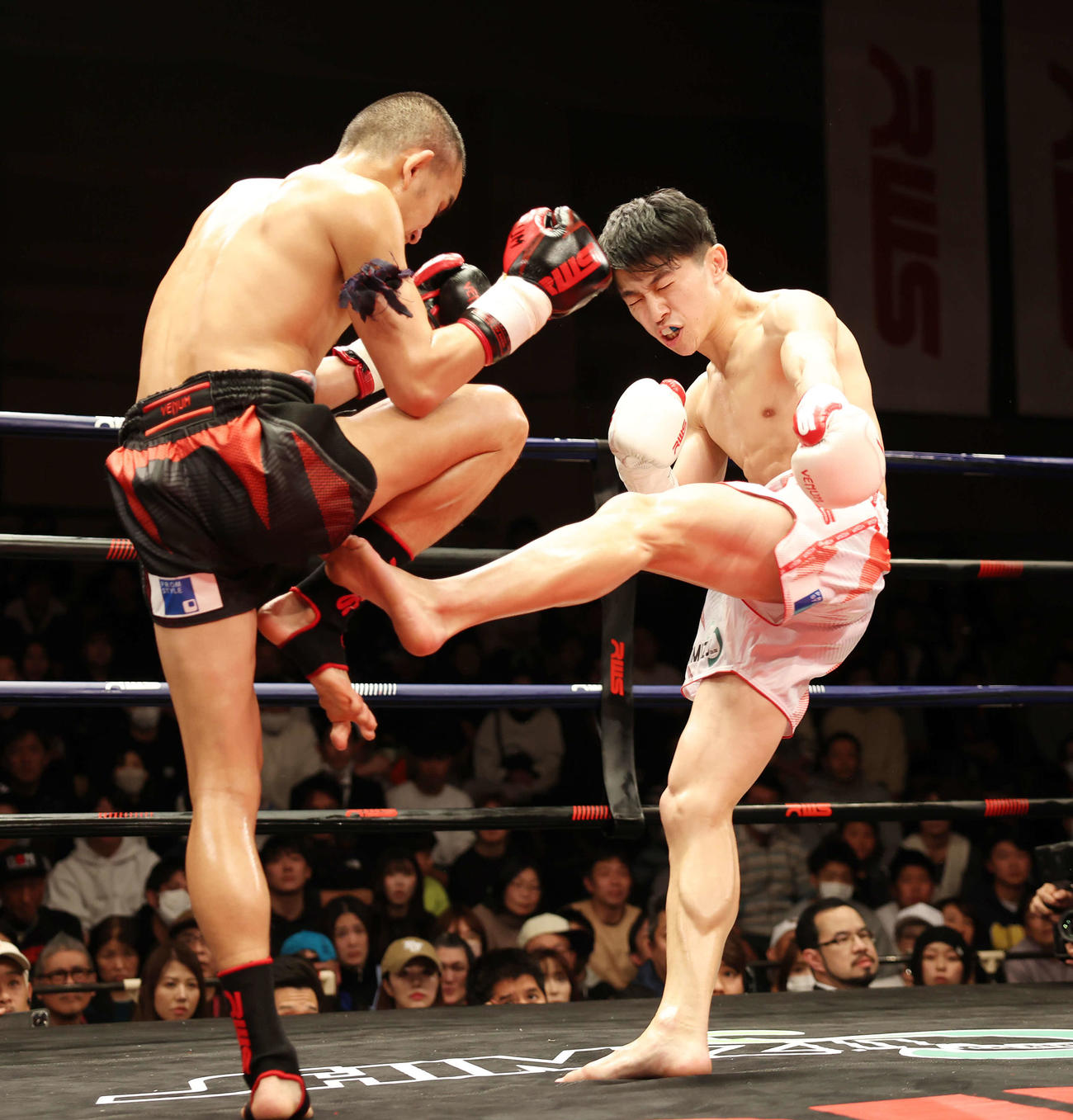 1回、プレーオプラーオ（左）に蹴りを入れる吉成（撮影・宮地輝）