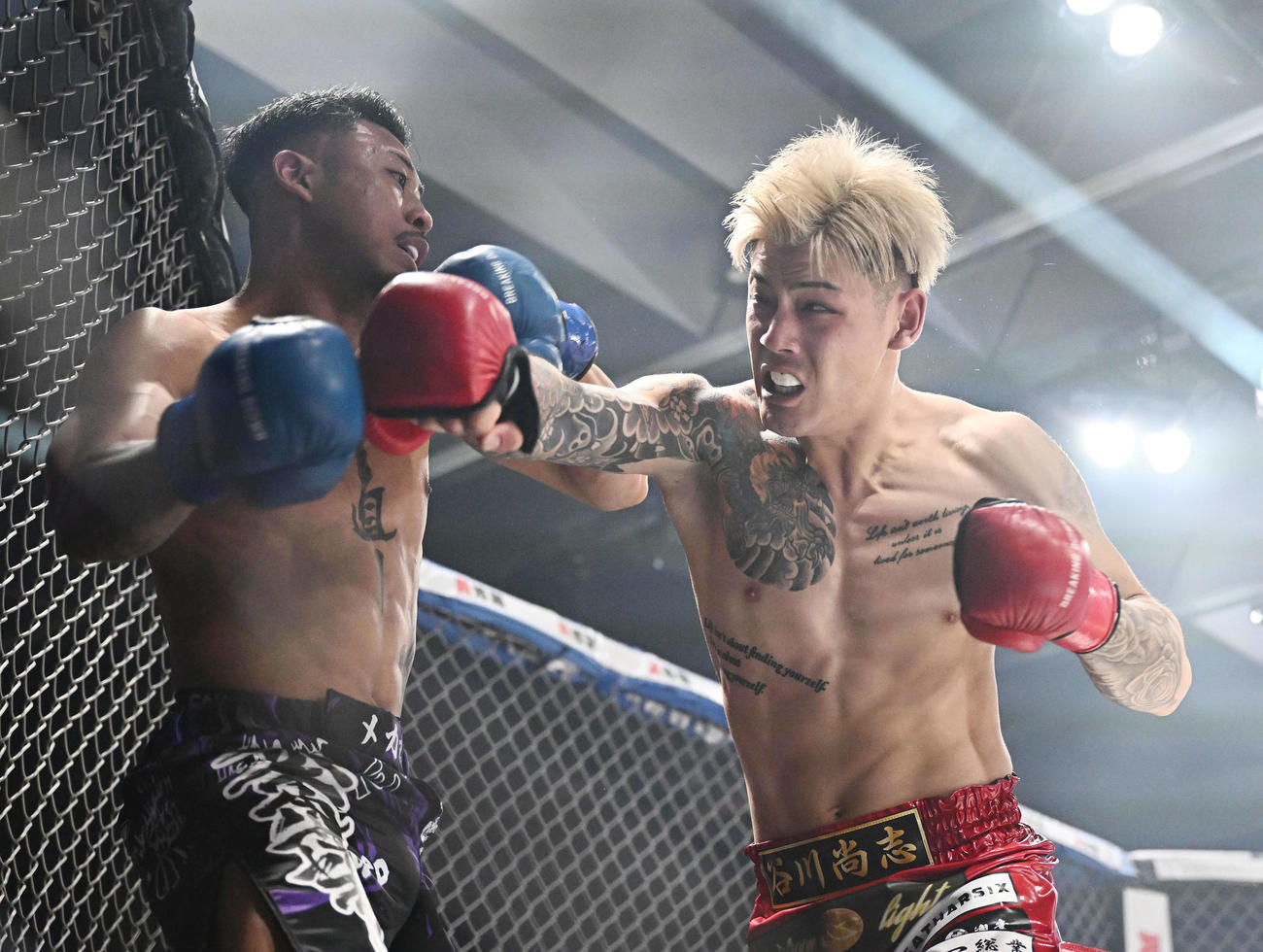 リキ（右）はメカ君にパンチを打ち込む（撮影・滝沢徹郎）