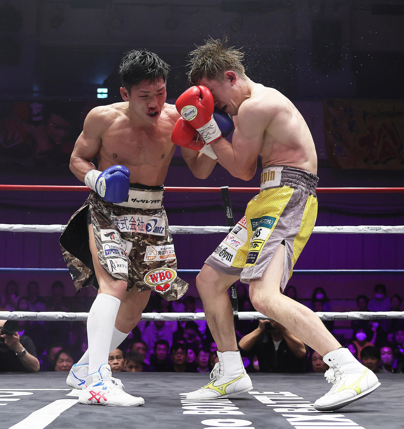 12回、永田（左）は井上に左パンチを見舞う（撮影・足立雅史）