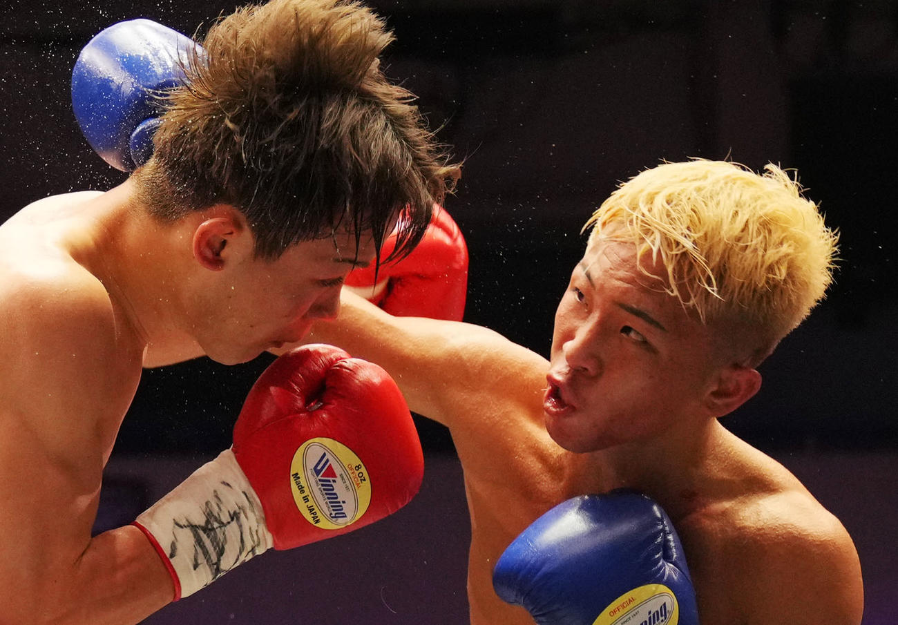 佐伯侑馬対宮沢蓮斗　4回、佐伯は宮沢（右）のパンチを受ける