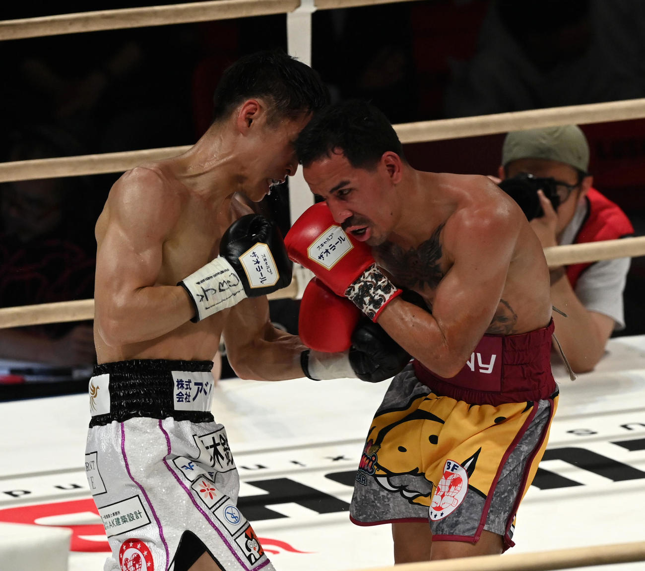 4回、エマヌエル・ロドリゲス（右）から左ボディーでダウンを奪う西田凌佑（撮影・前岡正明）