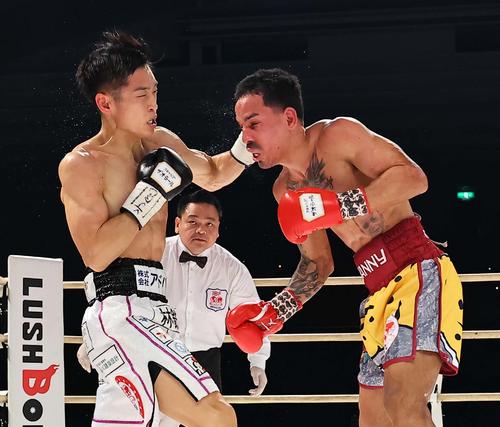4回、ロドリゲス（右）にパンチを見舞う西田凌佑（撮影・上田博志）