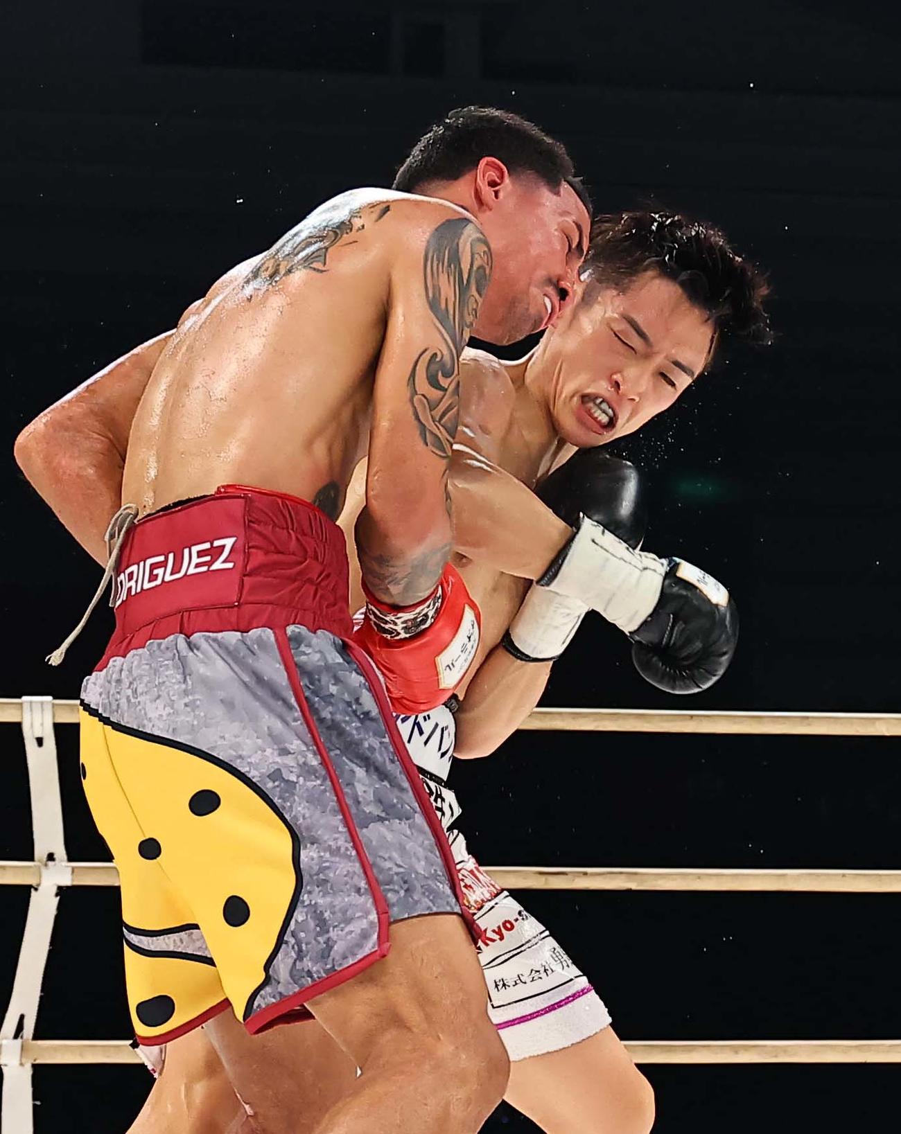 4回、ロドリゲス（右）にパンチを見舞う西田凌佑（撮影・上田博志）