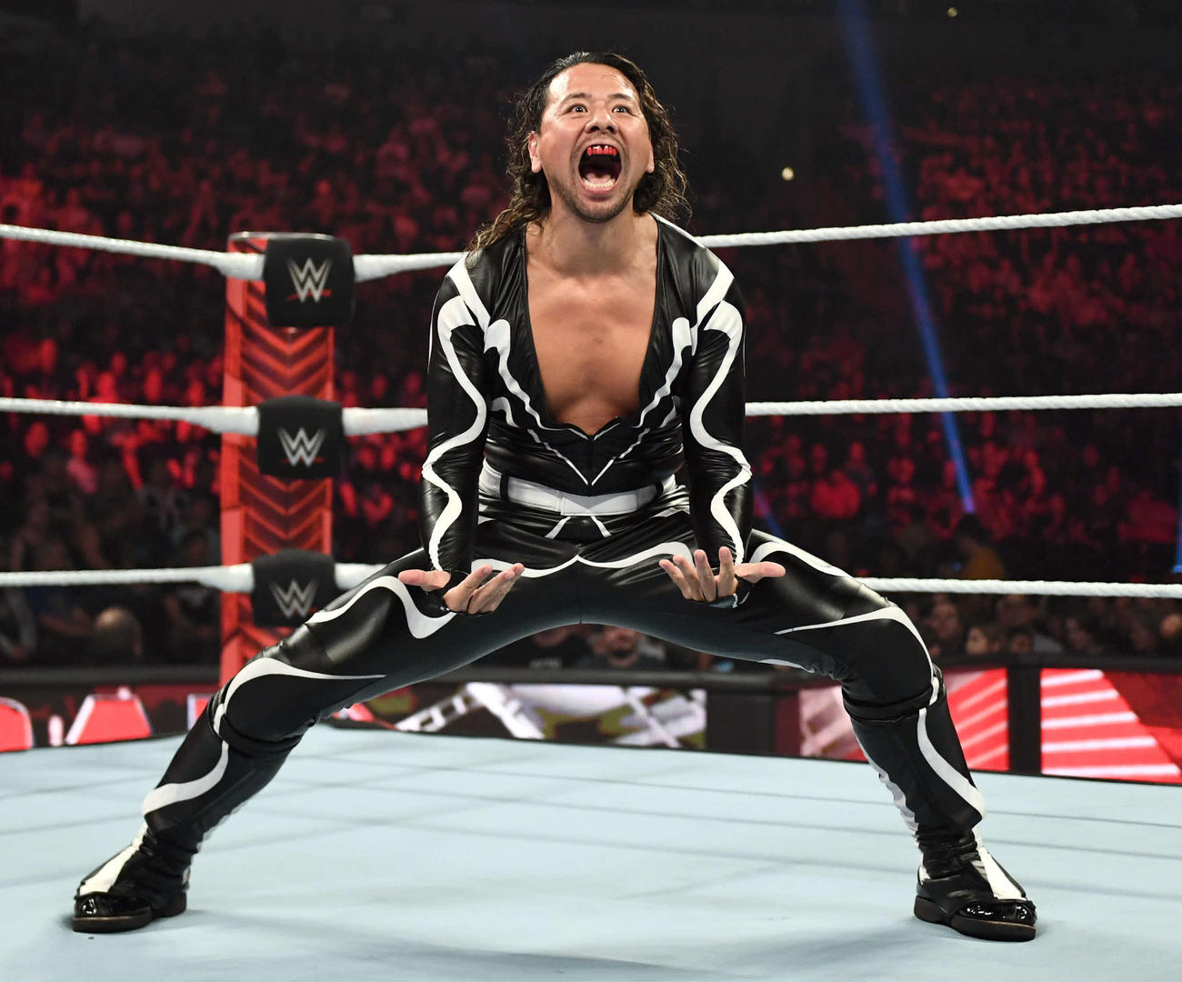 5年ぶりにWWE日本大会の開催が発表。中邑真輔らの参戦が予告されている（C）WWE