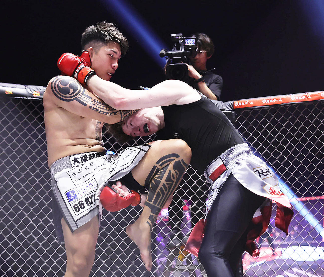 シモミシュラン（左）はひざ蹴りでポーランドの刺客を苦しめる（撮影・足立雅史）