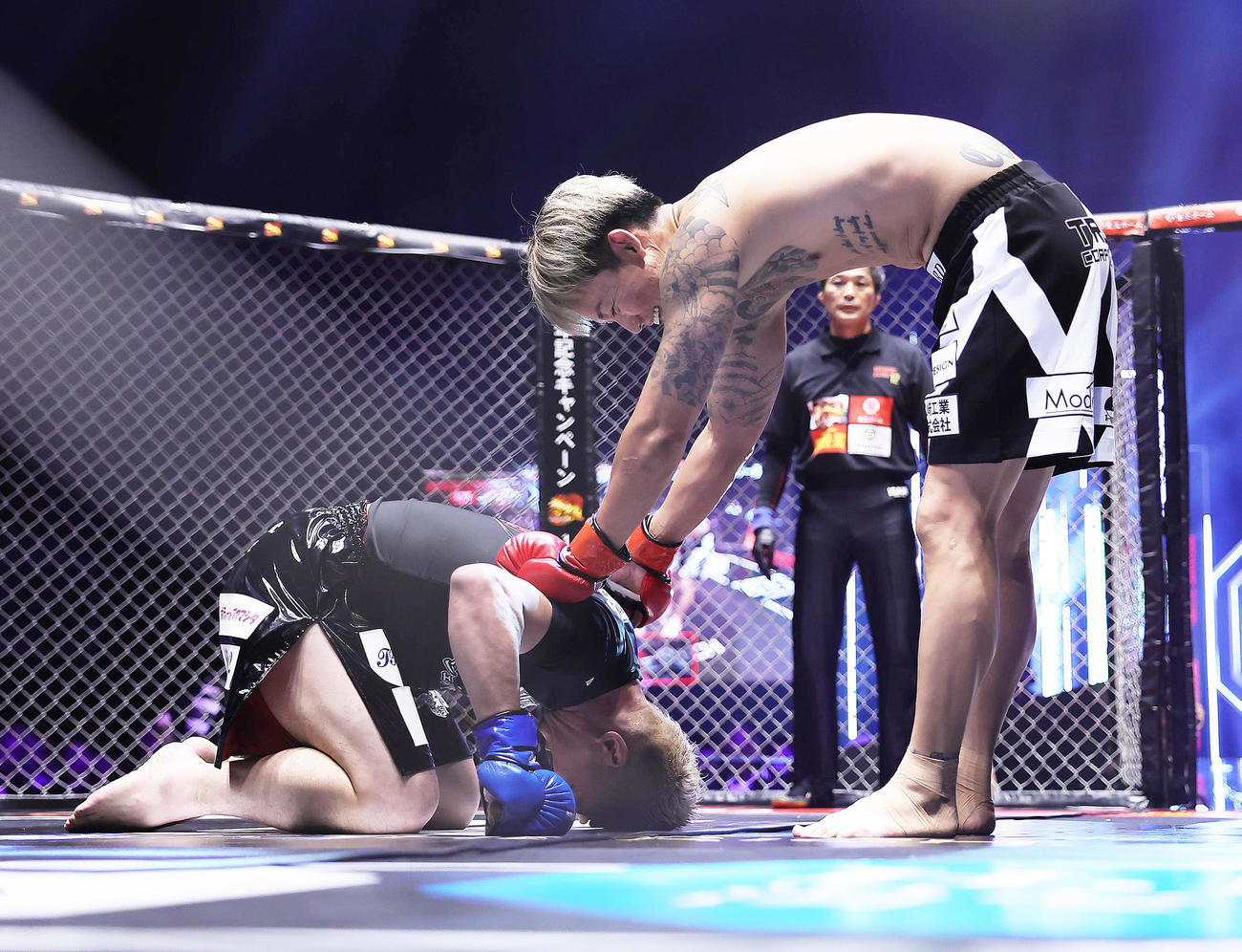 我龍（左）は萩原に敗れ土下座する（撮影・足立雅史）