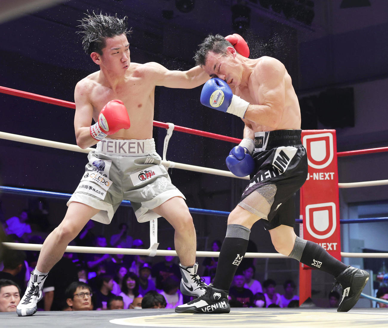 8回、ウラン（右）にパンチを繰り出す高見（撮影・野上伸悟）