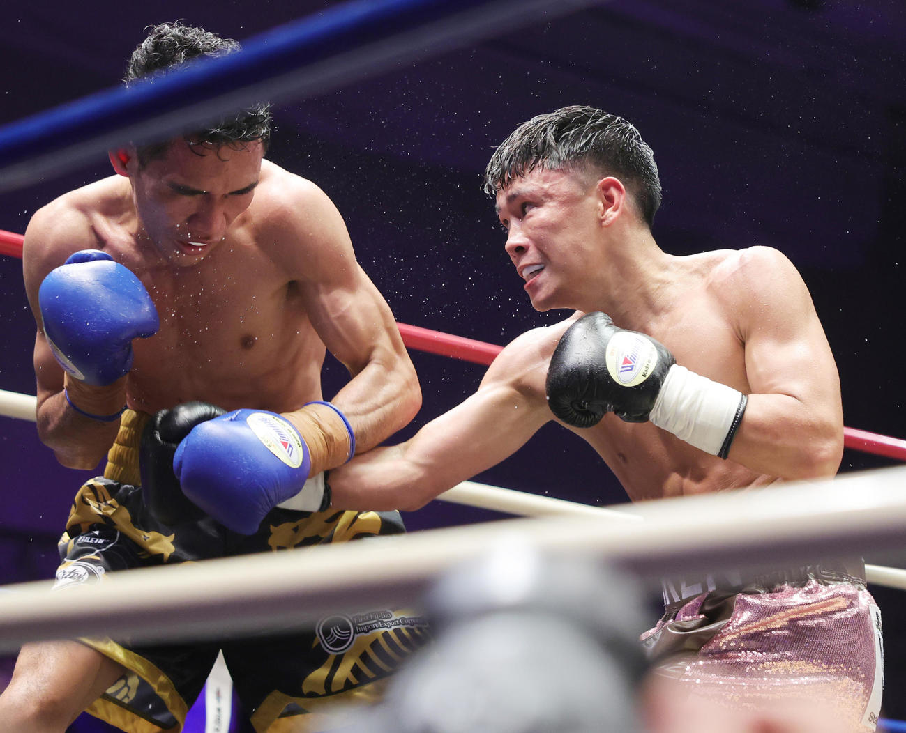 5回、トリニダード（左）と打ちあう岩田（撮影・野上伸悟）