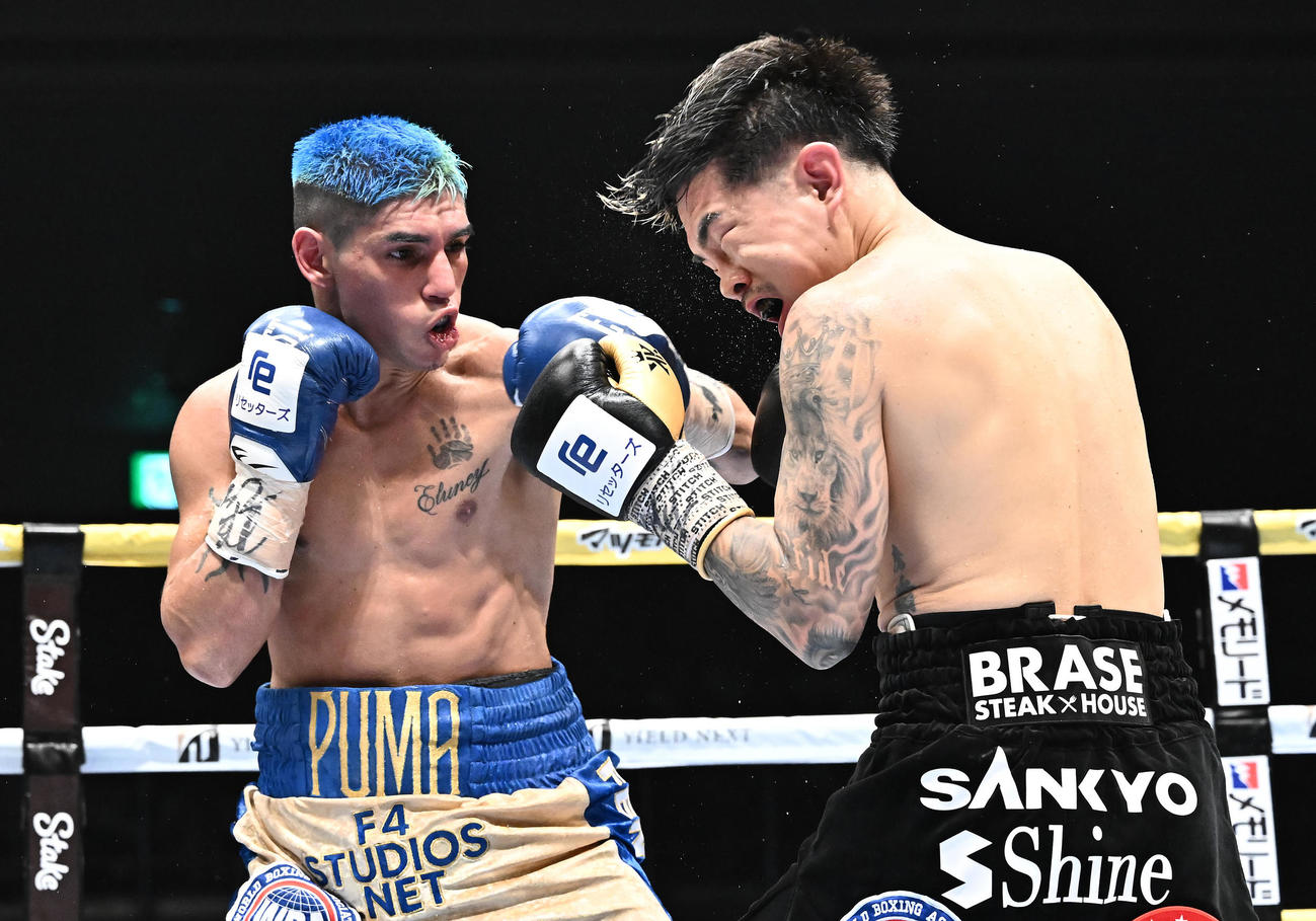 井岡一翔対フェルナンド・マルティネス　4回、パンチを浴びる井岡（右）（撮影・滝沢徹郎）