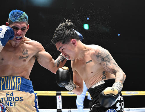井岡一翔対フェルナンド・マルティネス 7回、パンチを浴びる井岡(右)(撮影・滝沢徹郎)