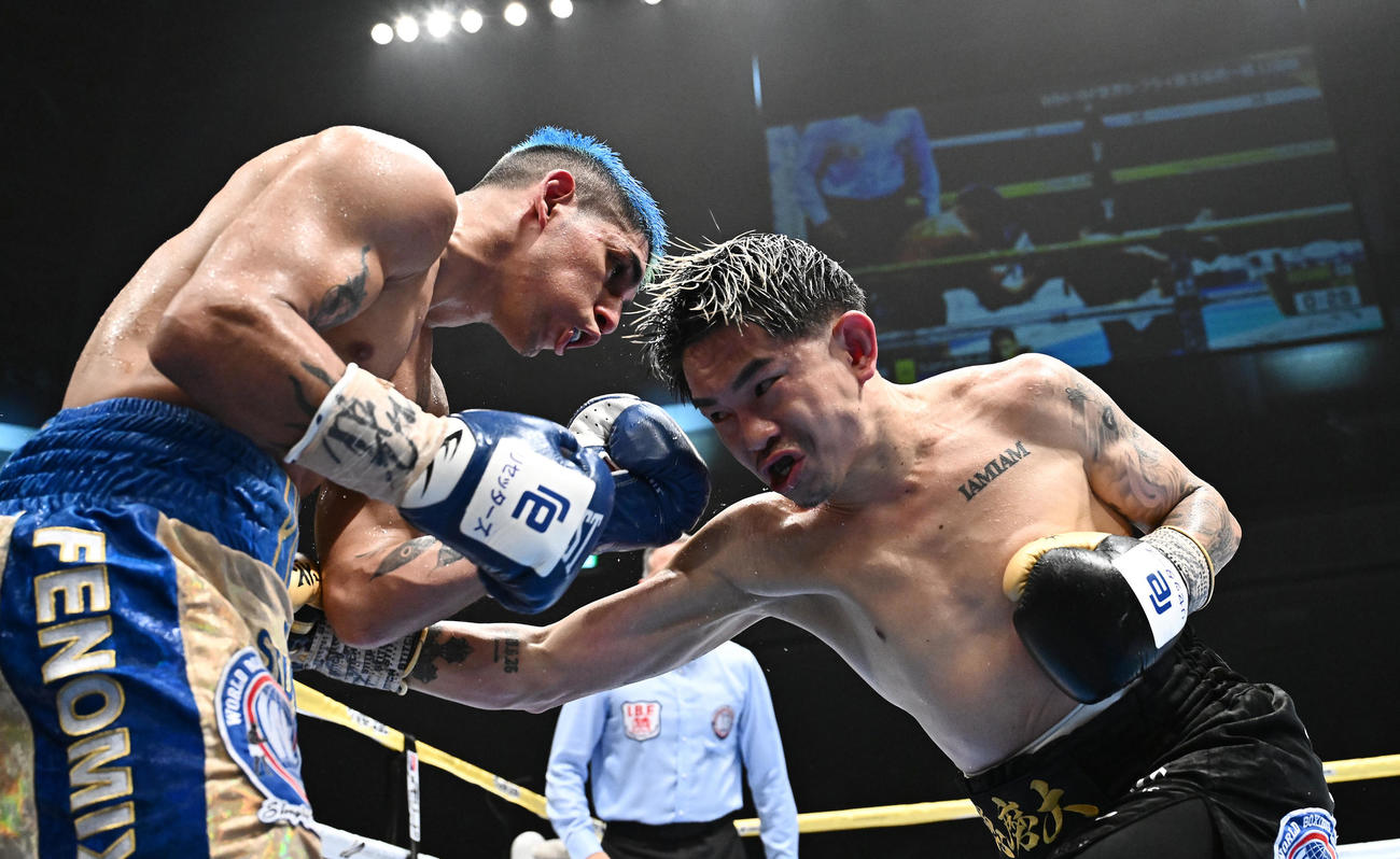 井岡一翔対フェルナンド・マルティネス　8回、ボディを打ち込む井岡（右）（撮影・滝沢徹郎）