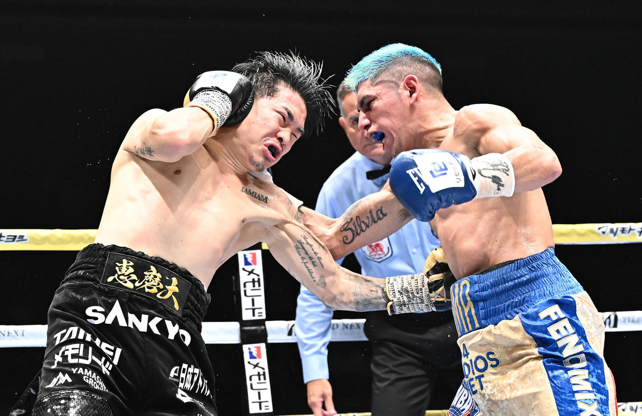 井岡一翔対フェルナンド・マルティネス　5回、ボディを打ち込む井岡（左）（撮影・滝沢徹郎）
