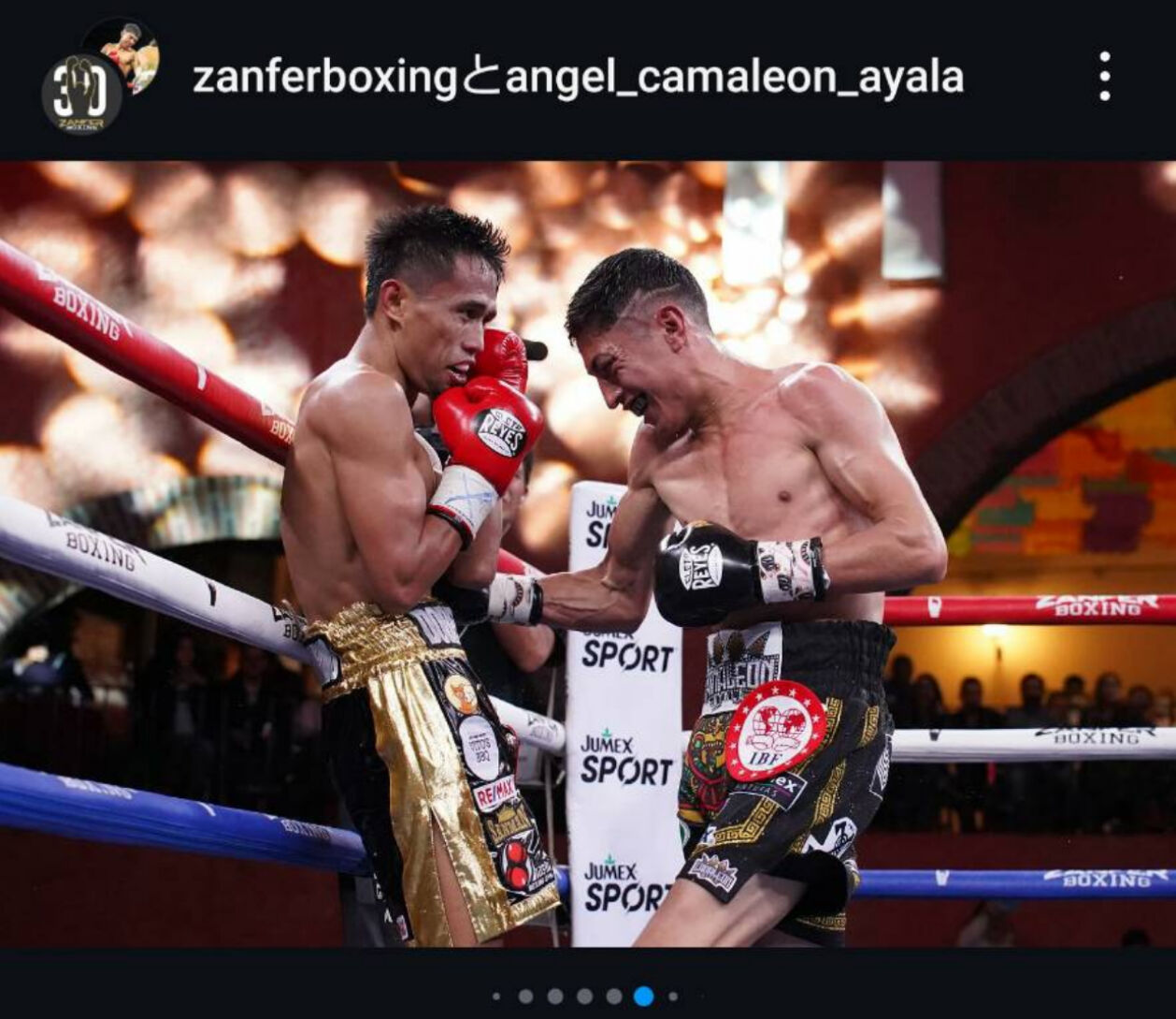IBF世界フライ級王座決定戦で、同級1位アンヘル・アヤラ（右）に連打で攻め込まれる同級3位デーブ・アポリナリオ（ザンファー社公式インスタグラムから）