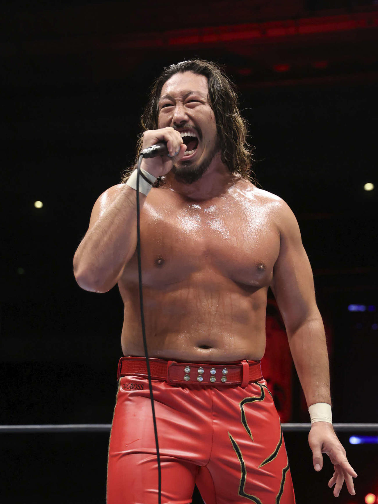 史上初の春夏連覇へ「覚悟はいいかー！」と叫ぶ辻陽太　（C）新日本プロレス