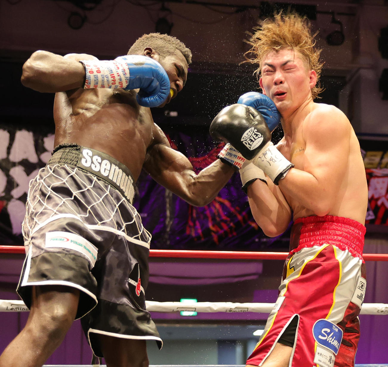 5回、石脇麻生（右）にパンチを繰り出すセムジュ・デビッド（撮影・野上伸悟）