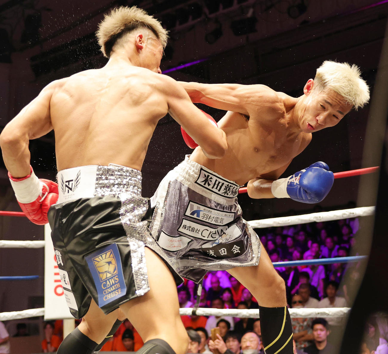 2回、奈良井翼（左）にパンチを繰り出す福井貫太（撮影・野上伸悟）