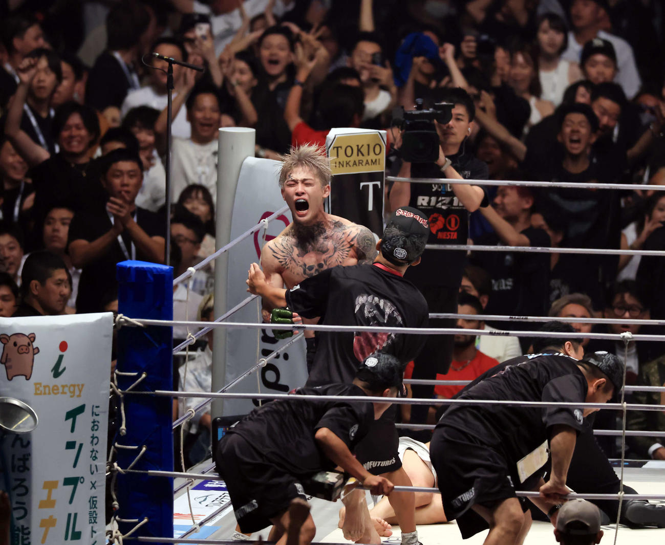 1回、朝倉（奥）にKO勝利し、大喜びで絶叫する平本（2024年7月28日撮影）