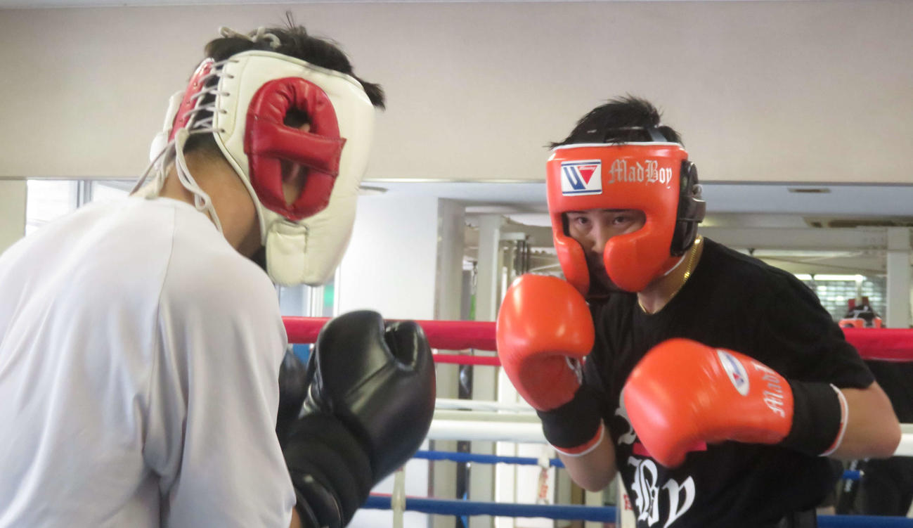 WBA世界フライ級王者ユーリ阿久井政悟（左）と6回のスパーリングを消化した元世界2階級制覇王者京口紘人