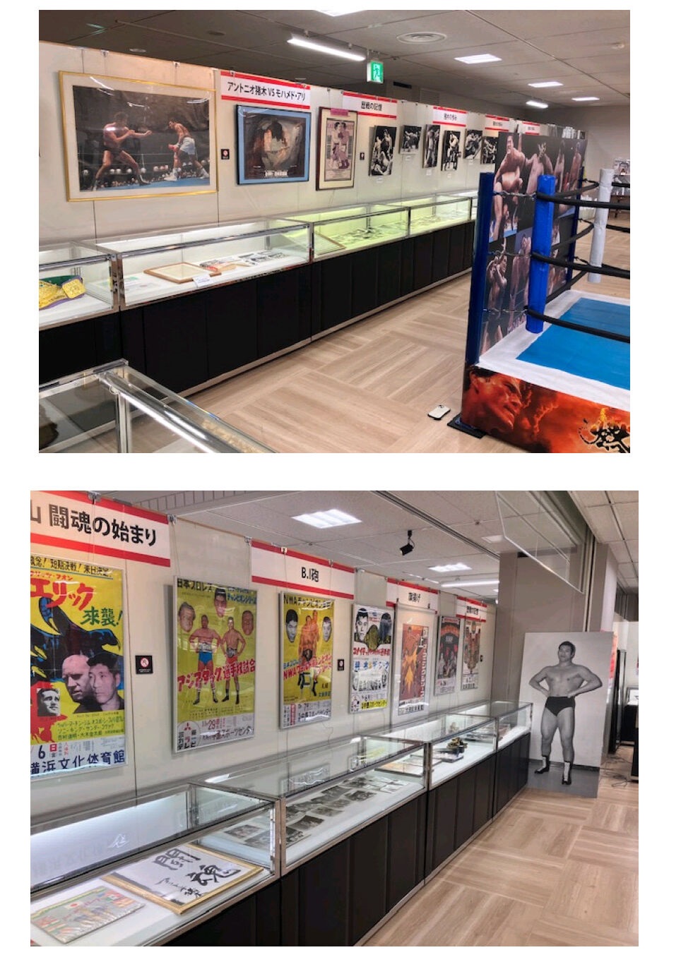 大丸札幌店で開催される燃える闘魂・アントニオ猪木展で展示される猪木さんゆかりの展示品（IGF提供）