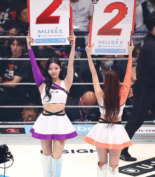 試合を彩るラウンドガールたち（撮影・中島郁夫）