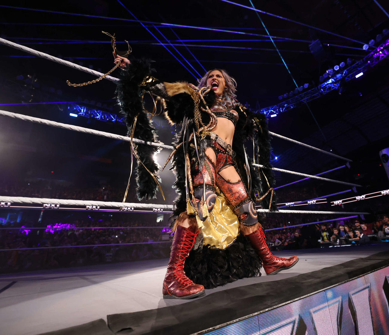 NXT女子王座戦に向けてリングに入るジュリア（C）WWE