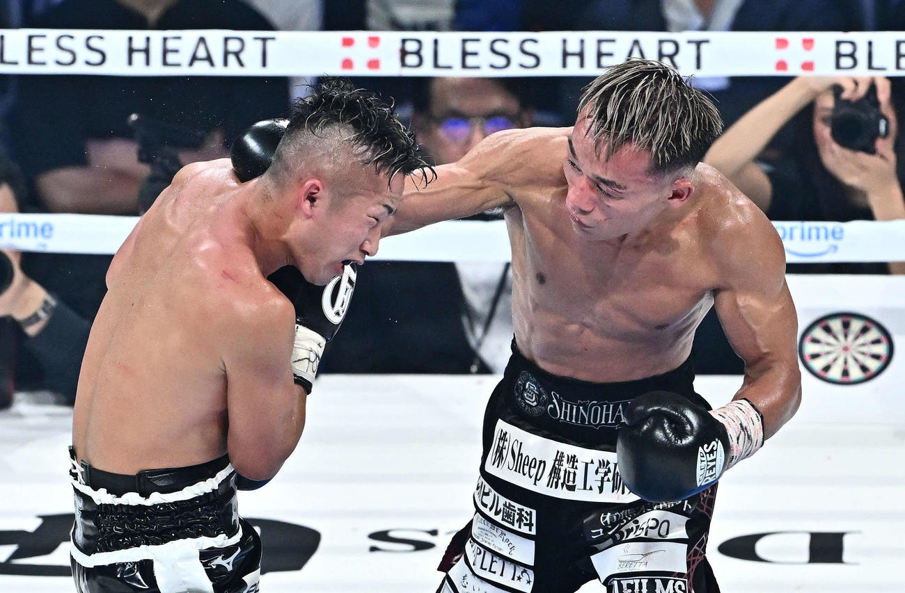 12回、堤（右）は井上拓にパンチを打ち込む（撮影・滝沢徹郎）