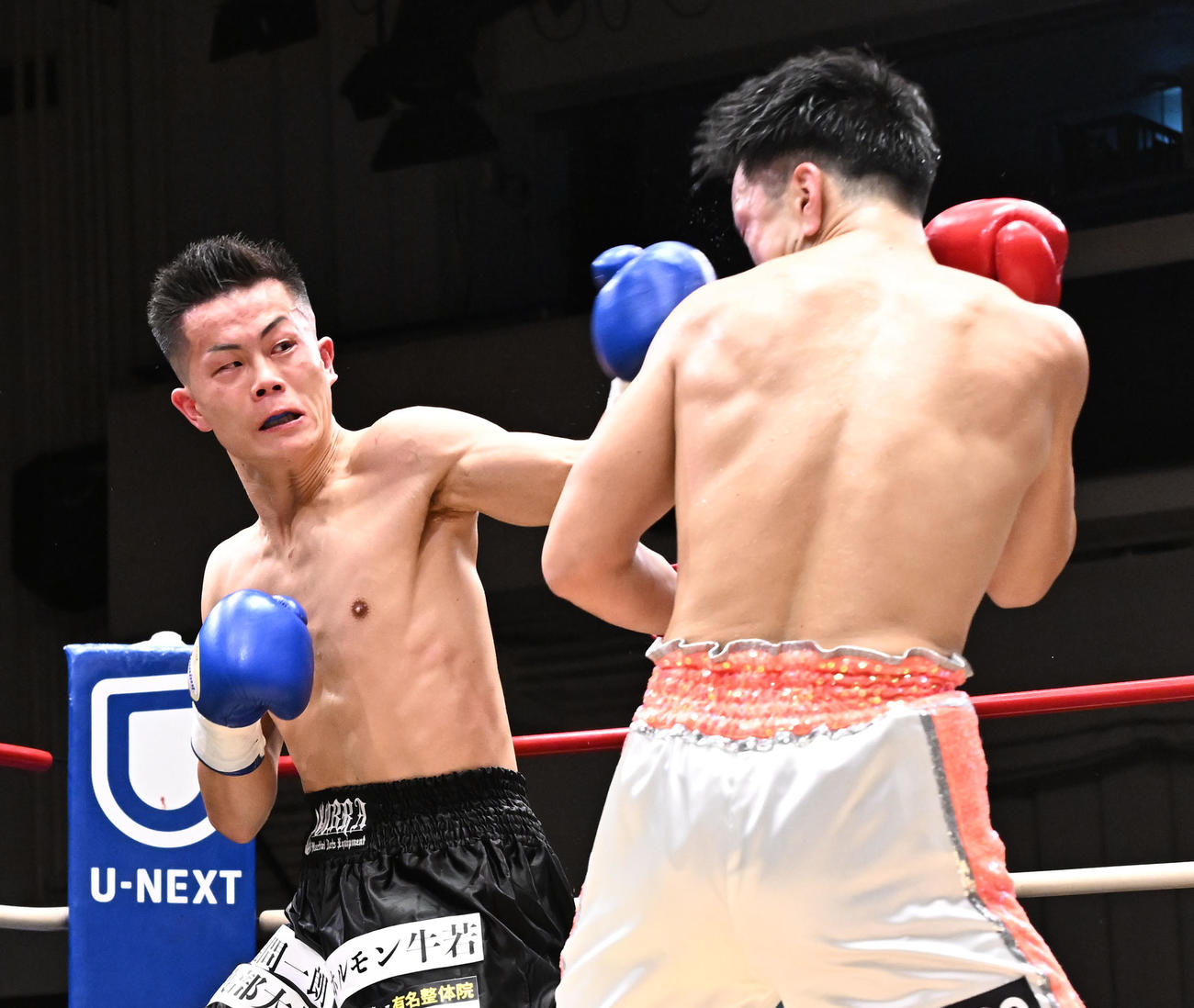 プロボクシング第81回東日本新人王決勝戦　ウェルター級5回戦　金子佳樹対福永啄巳　金子佳樹を攻める福永啄巳（撮影・千葉一成）