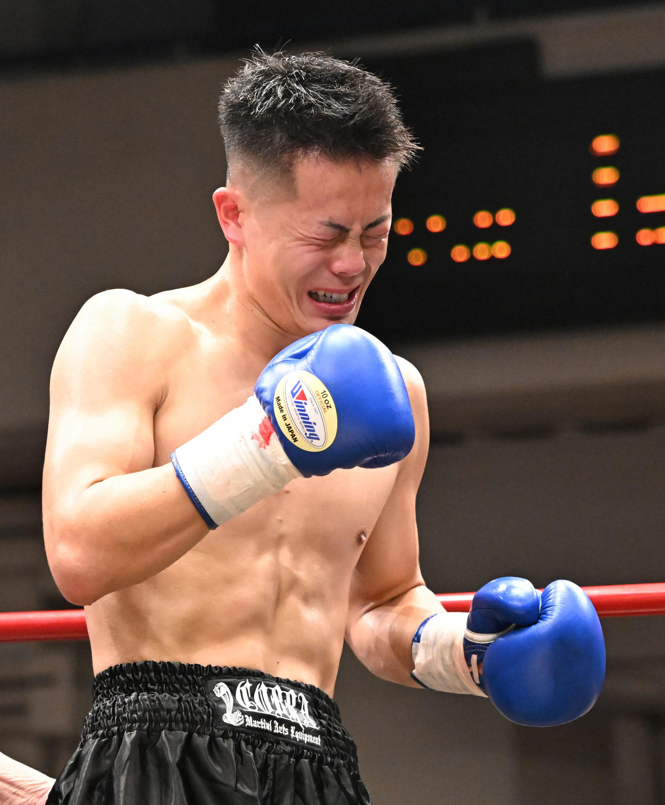 プロボクシング第81回東日本新人王決勝戦　ウェルター級5回を制し、感極まる福永啄巳（撮影・千葉一成）