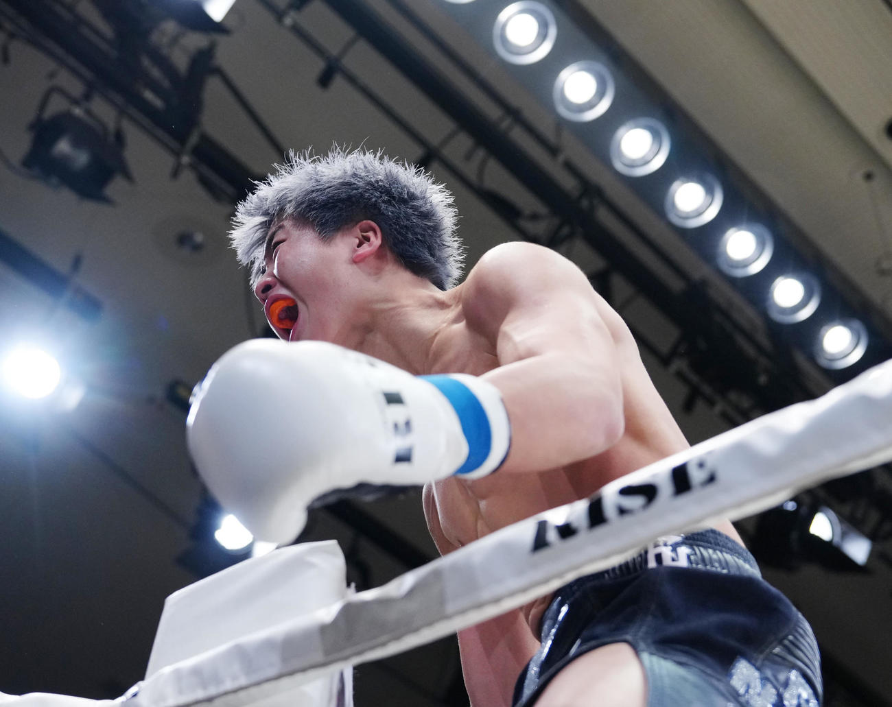 数島大陸対那須川龍心　1回KO勝ちし雄たけびを上げる那須川（撮影・江口和貴）