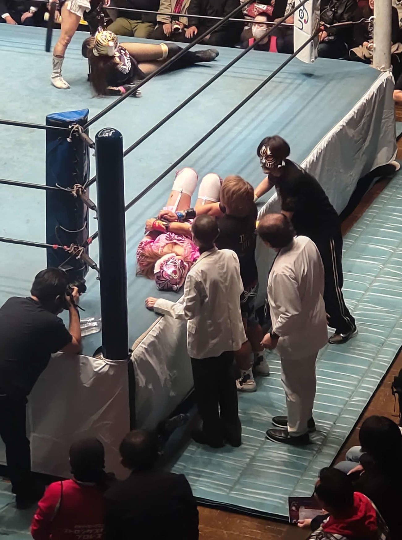 デビュー戦で左腕を負傷し、戦闘不能になったタイガー・プリンセス