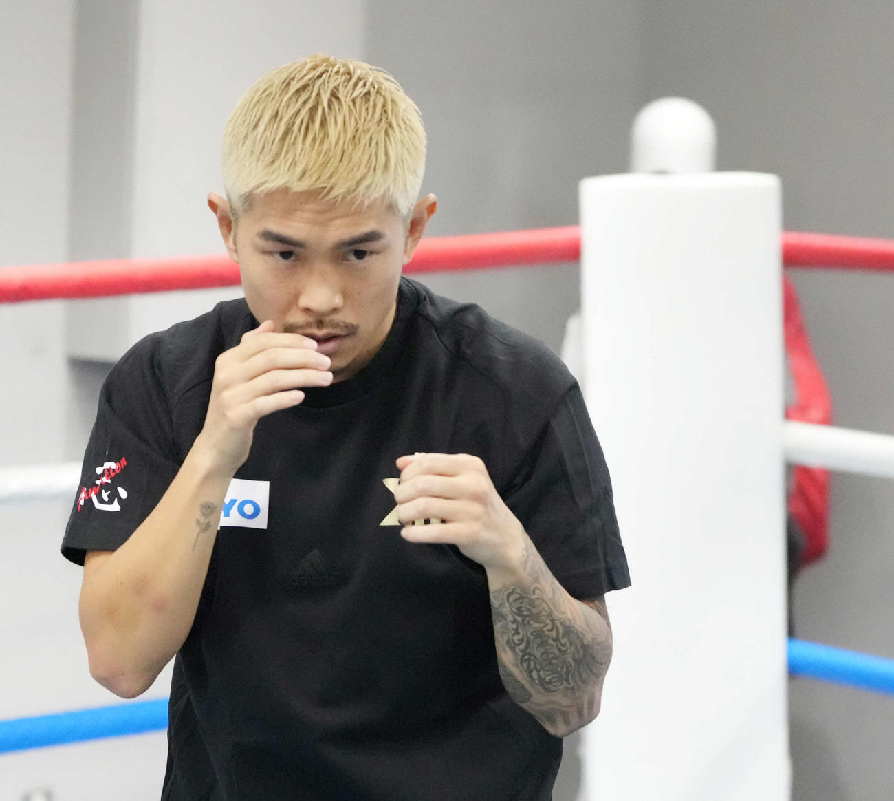 公開練習でシャドーボクシングを披露する井岡（撮影・小沢裕）