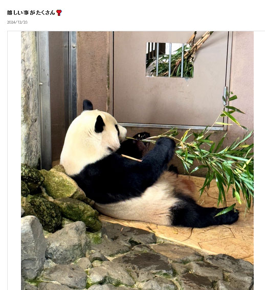ブル中野の公式ブログから