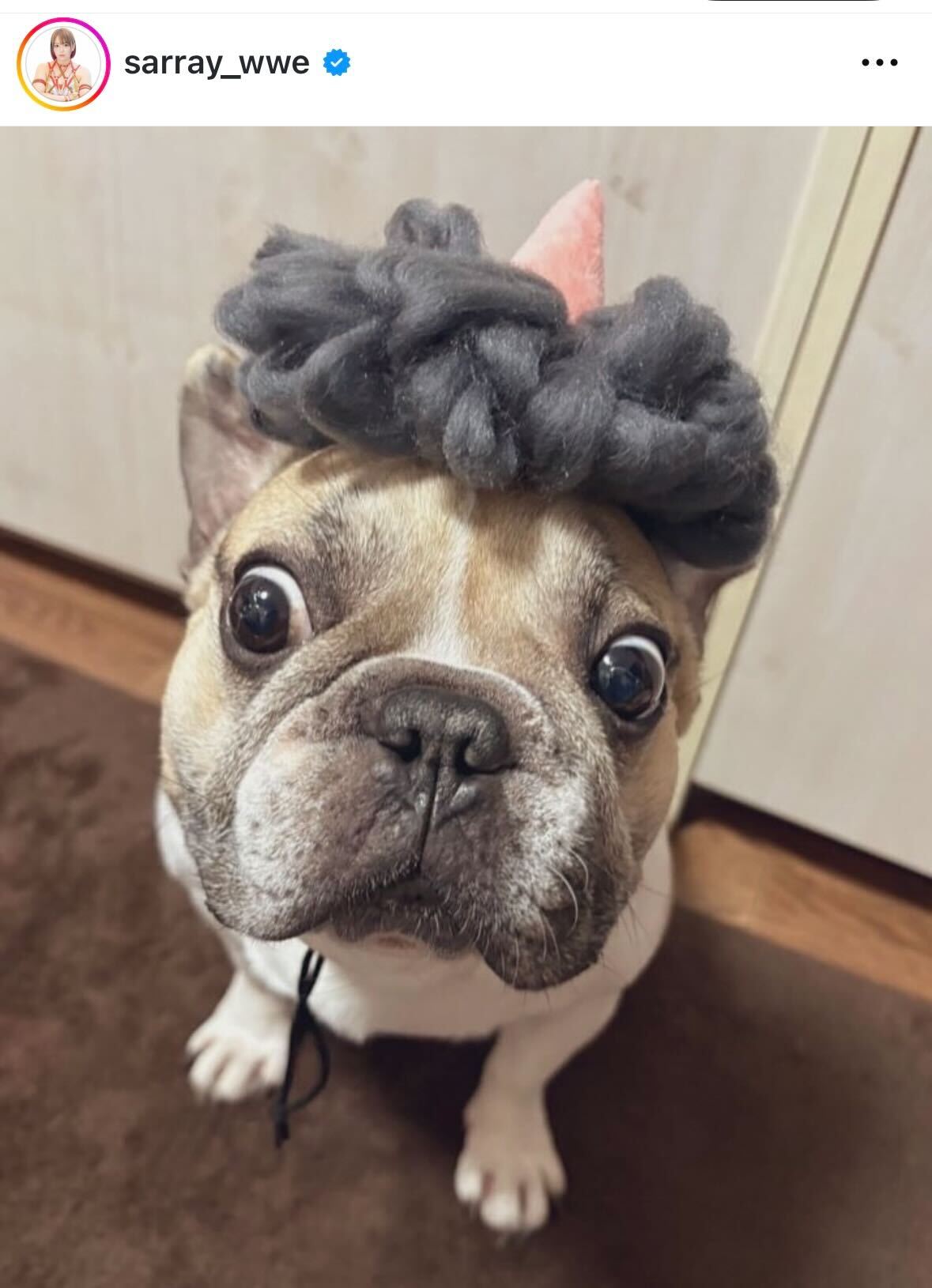 Sareeeのインスタグラムから