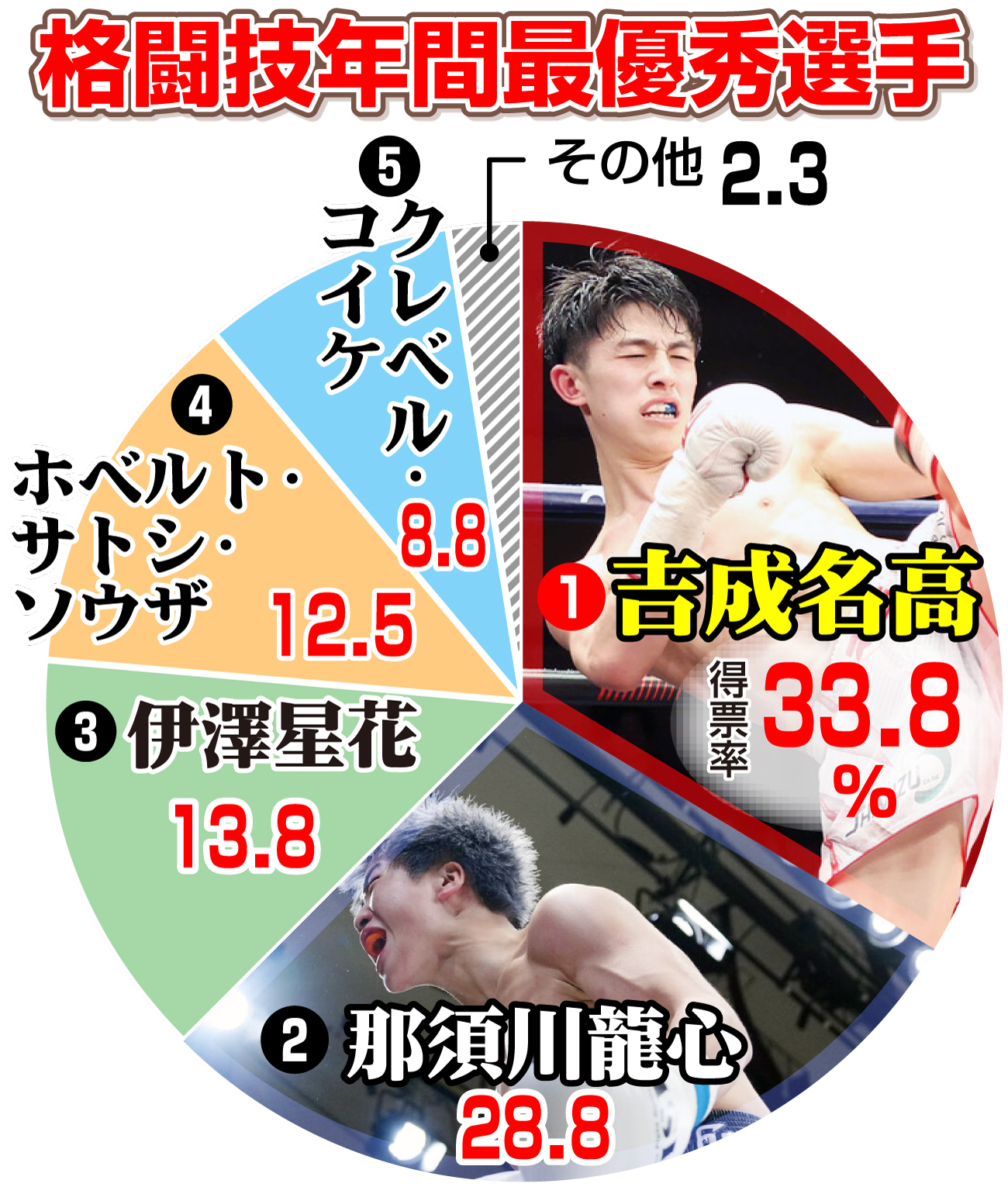 【イラスト】格闘技年間最優秀選手