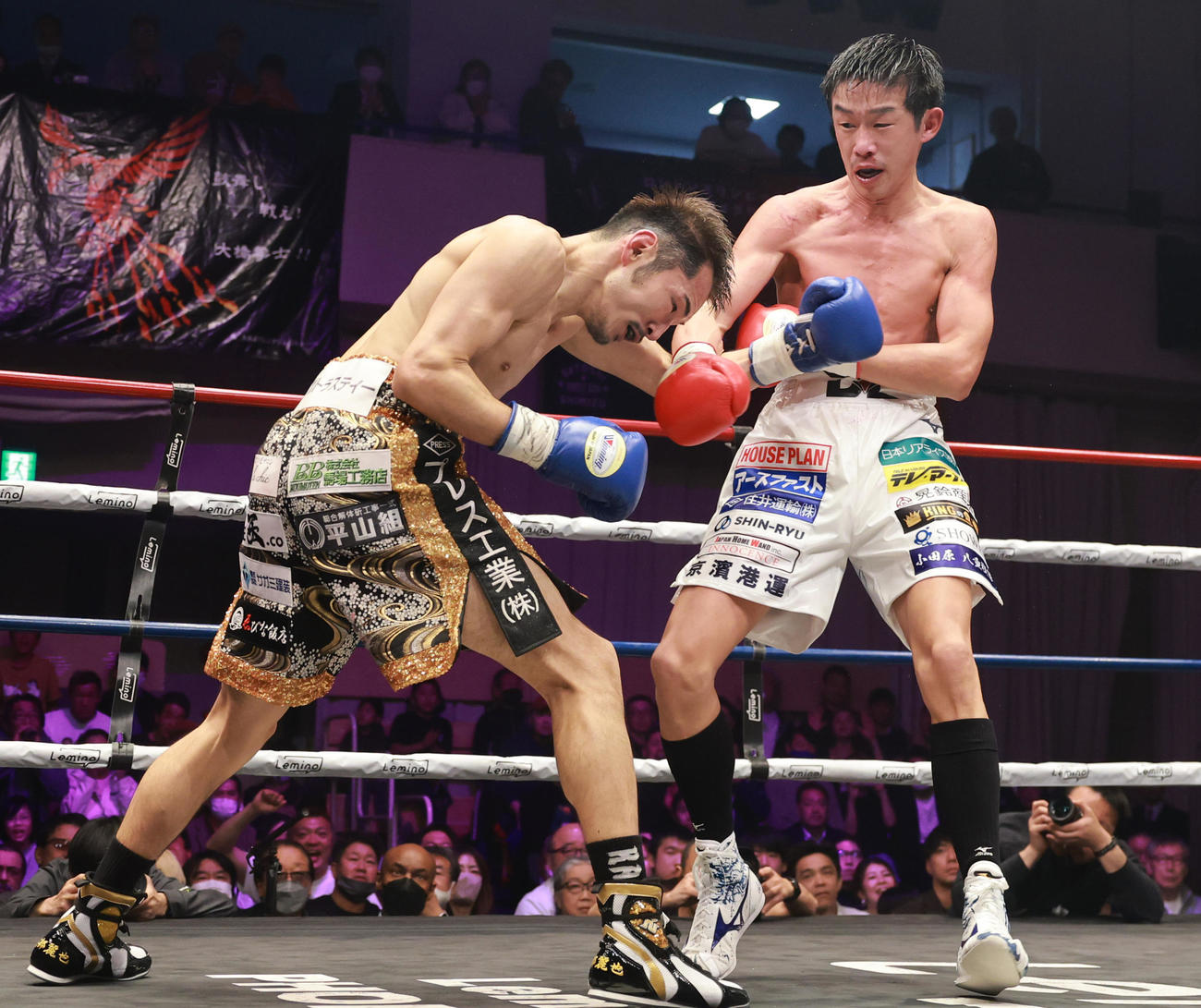 10回、打ちあう阿部（左）と清水（撮影・野上伸悟）