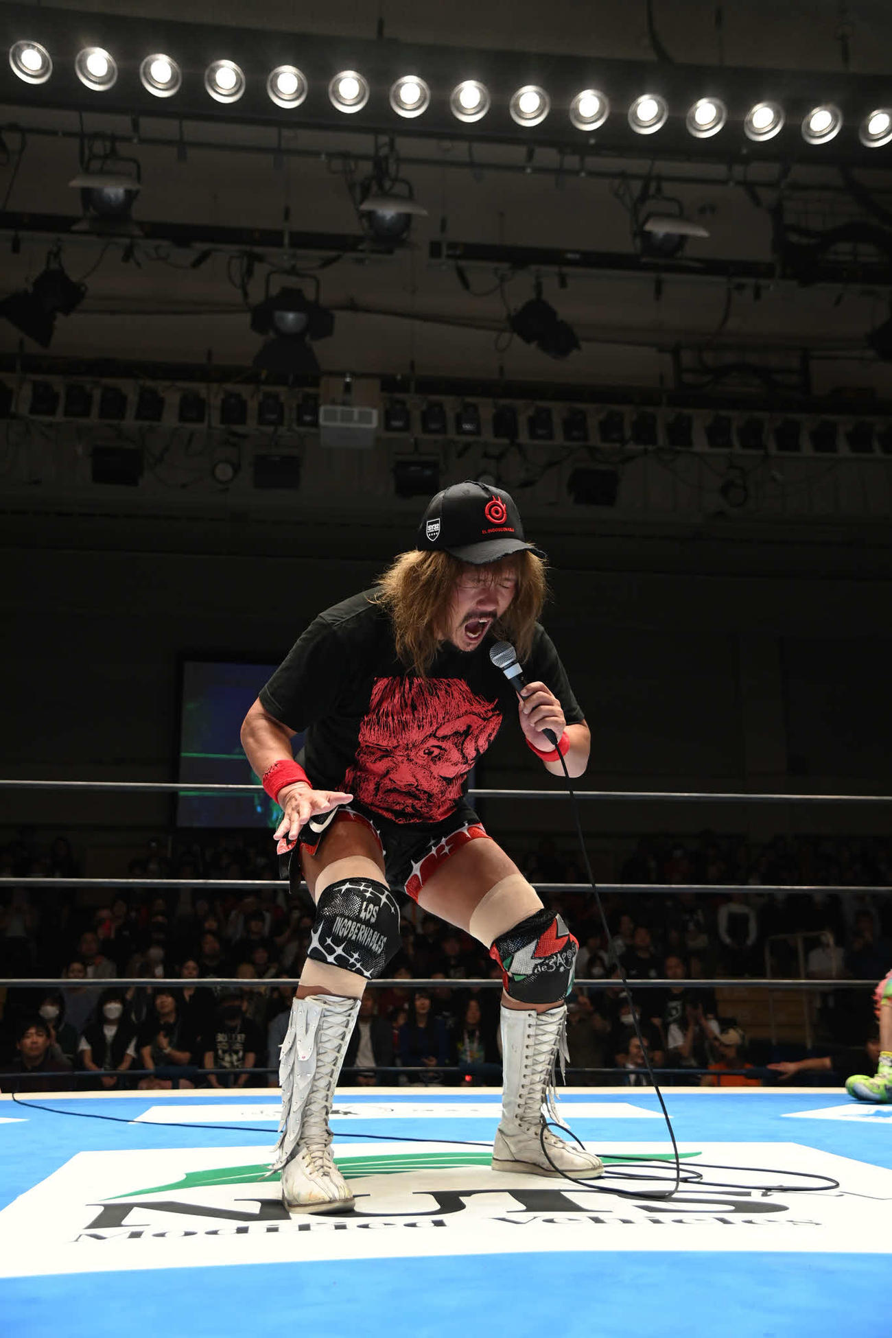 「デ・ハポン」締めした内藤哲也（C）新日本プロレス